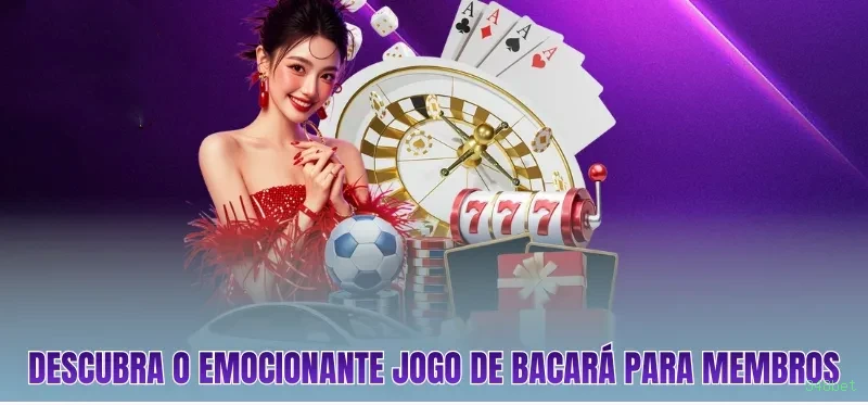 Experiência VIP 348bet